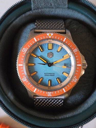 San martin diver - martin, diver's