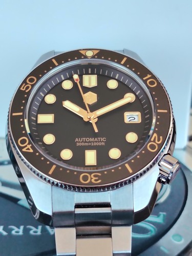 San martin diver - san,